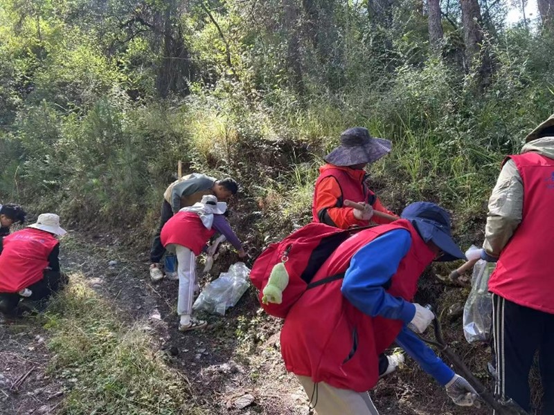 图片2.jpg 图片2.jpg